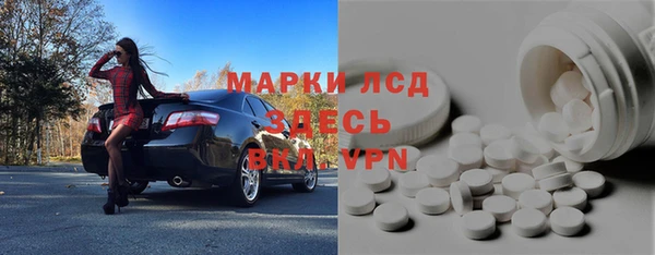 крисы Вязьма