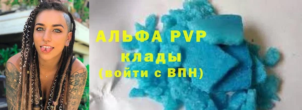 крисы Вязьма