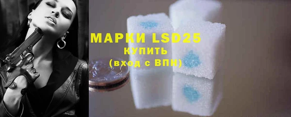 крисы Вязьма
