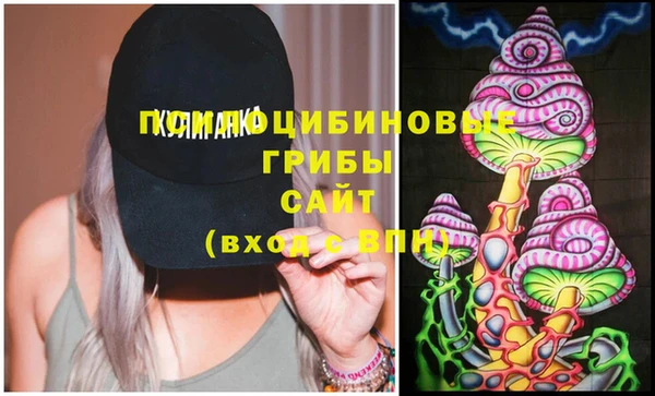 дурь Вяземский