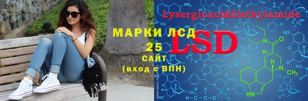 крисы Вязьма
