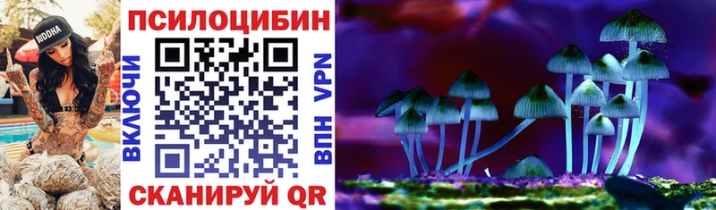 Купить где  Грязи  Псилоцибиновые грибы мухоморы 